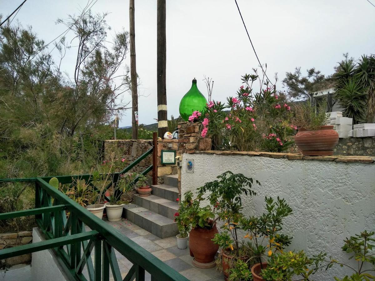 Appartement View